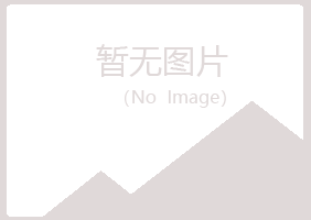 黑龙江紫山能源有限公司